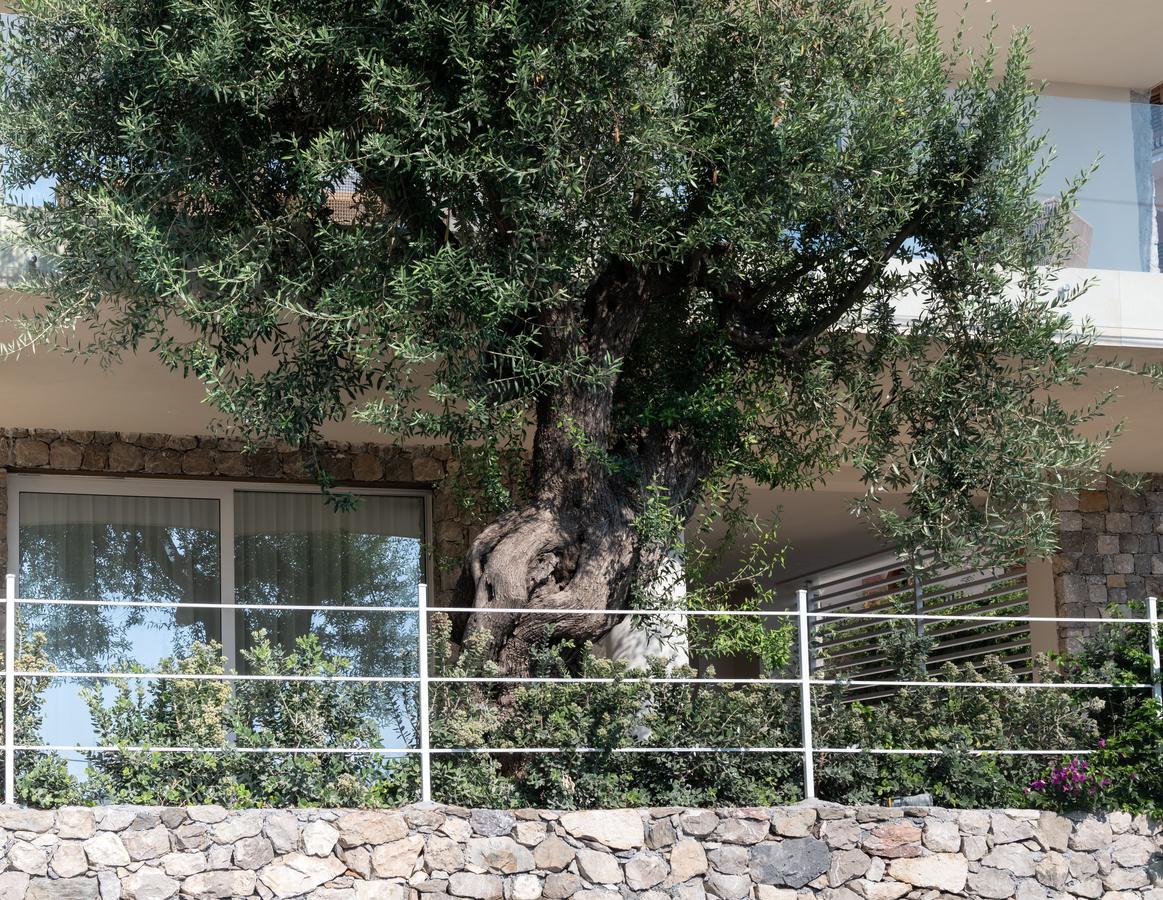 Iancu Charme Apartments Taormina Exterior photo